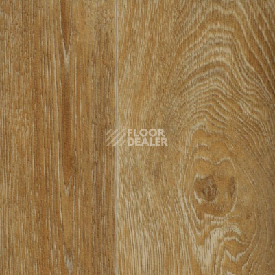 Линолеум IVC Greenline Chaparral Oak 532 фото 1 | FLOORDEALER